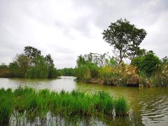 -白鹭湾湿地公园