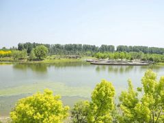 -东郊湿地公园