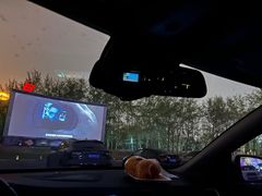 -枫花园汽车电影院(朝阳公园店)