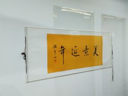 -北京丽星翼美医疗美容