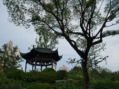 -和平公园
