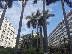 -广州医科大学(越秀校区)