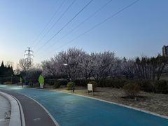 -太阳宫公园