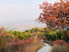 -北京西山国家森林公园