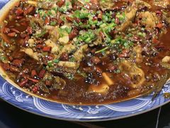-新概念来凤鱼(璧山店)
