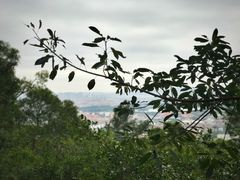 -清源山风景区