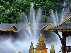 -西双版纳原始森林公园