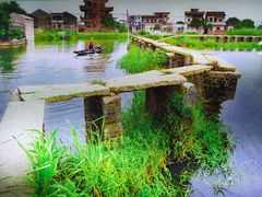 -江门古劳水乡旅游区