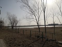 -绿堤公园