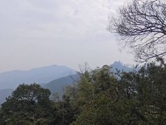 -莫干山风景区