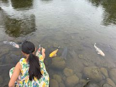 -水前寺成趣园