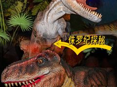 -长鹿旅游休博园
