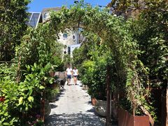 -The Grounds of Alexandria