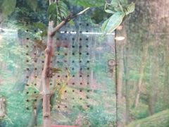 -上海大自然野生昆虫馆(东方明珠·爬宠昆虫探索中心)
