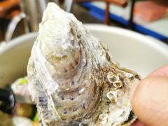 -江湖一盏灯·滇味卤烤(普惠园店)