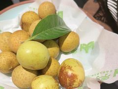 -季季山·云南野生菌火锅(上海首店)