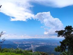 -黄埔油麻山森林公园