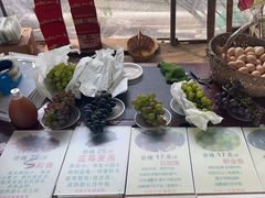 -马陆小张葡萄园农家乐