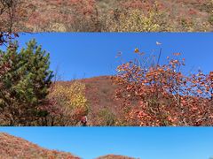 -周口店坡峰岭风景区