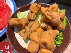肥肠节子-古木枫老火锅(洪崖洞店)