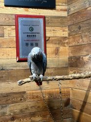 -Zoolung Zoolung动物主题公园(海信广场店)