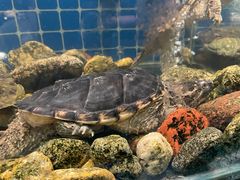 -健眺小海鲜(临海后山店)