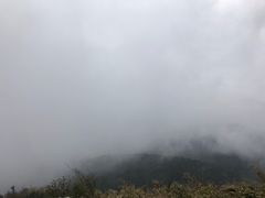 -武陵山森林公园