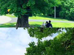 -上海月湖雕塑公园