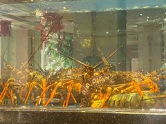 -鹏天阁酒楼·海鲜(红旗店)