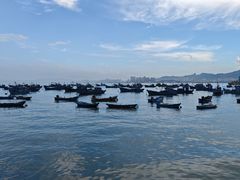 -海源公园