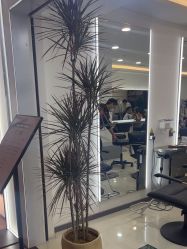 -HaLo hair studio