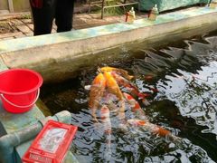 -北戴河集发农业梦想王国