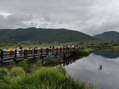 -泸沽湖国家级风景名胜区走婚桥