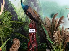 -广东科学中心