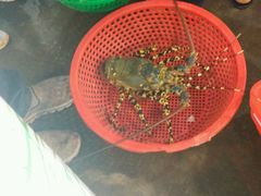 -幸福姐海鲜大排档