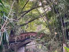 -望江楼公园