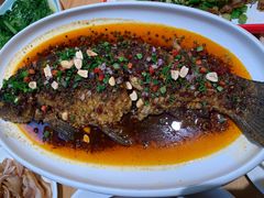 -茅溪菜·家常菜(九街店)