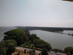 -大湾区中央湿地公园