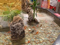 -万荣烤鸭店·北京菜(天坛店)
