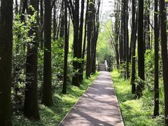 -同里国家湿地公园