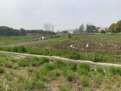 -嘉北郊野公园