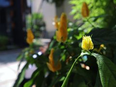 -默迹咖啡馆