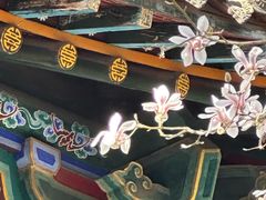 -碑林公园