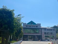 -打洛口岸