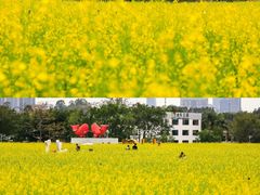-光明小镇欢乐田园
