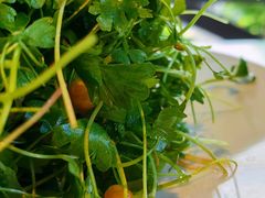 -No.DD戳子烧烤·江湖菜(北京总店)