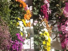 -万卉源鲜花店(百尚生活广场店)