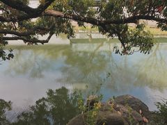 -沧浪亭