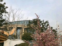 -郑州银基黄帝宫御温泉