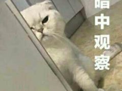 -唱吧麦颂KTV(西单华威潮铺街店)